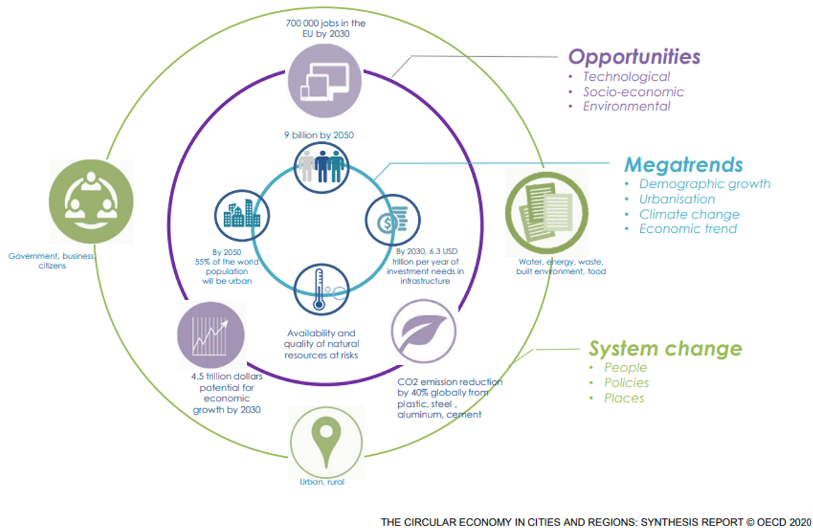 Managing the Transition to the Circular Economy