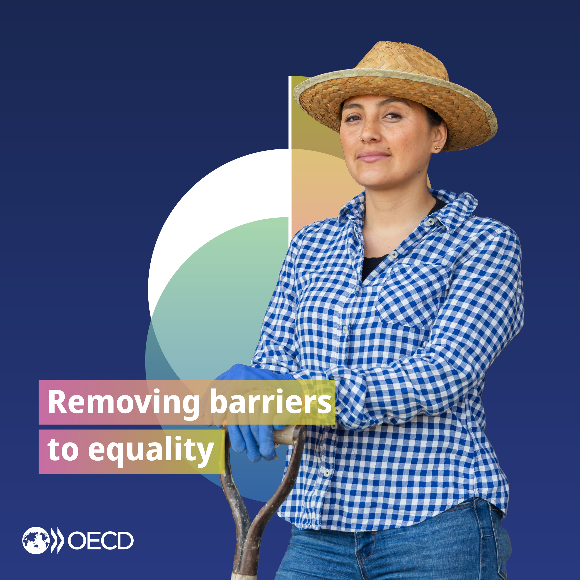 Image on removing barriers to equality