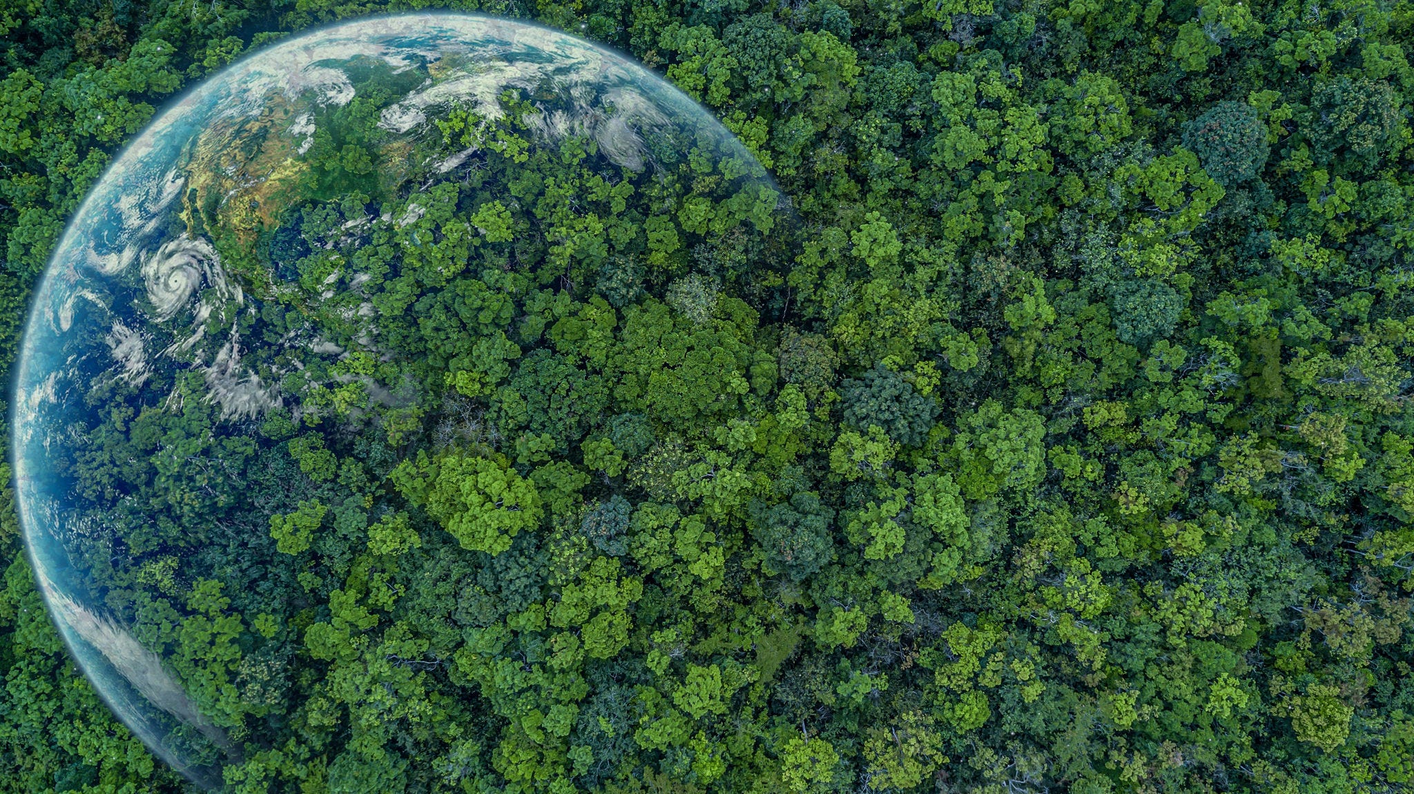 Aerial top view green forest with earth, Green planet in your hands, Save Earth, Texture of forest view from above ecosystem and healthy environment.; Shutterstock ID 2174669625; NP: CCXG-ROK side event COP27