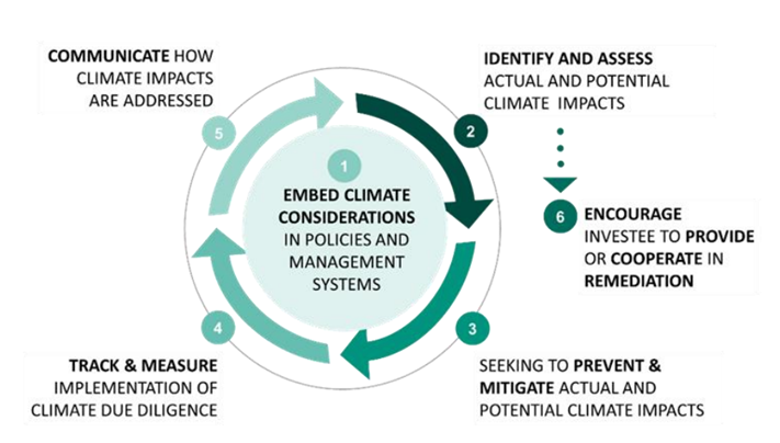 Due diligence 6-steps management for climate risks