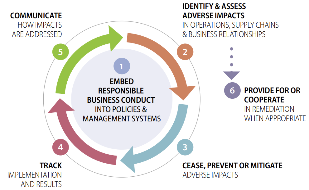 6 Steps for embedding responsible business conduct