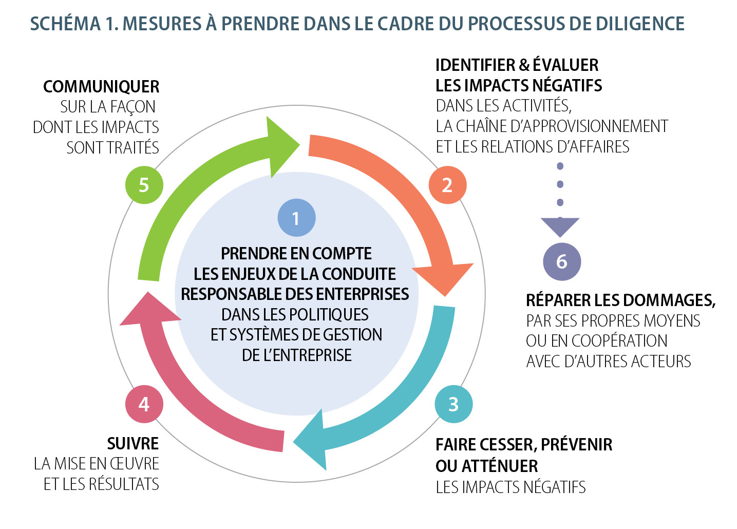 OECD due diligence 6 steps for enterprises
