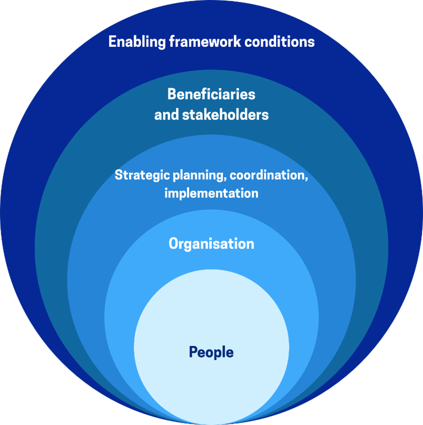 This infographics illustrates the different analytical frameworks of administrative capacity building